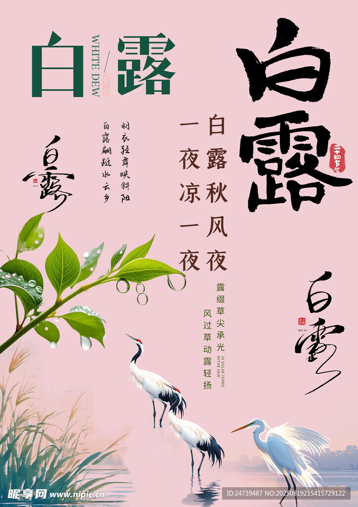 白露素材