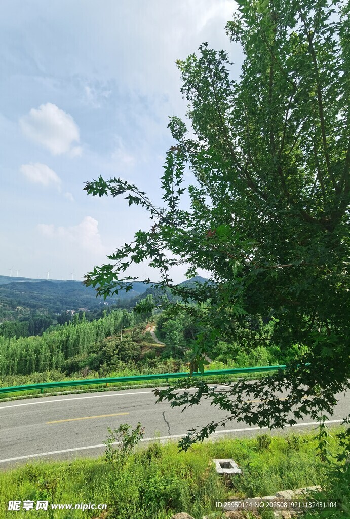 公路旁绿意盎然的自然景致