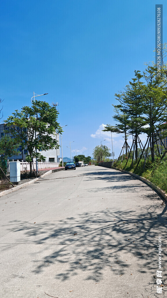 阳光洒落的宁静乡间小路