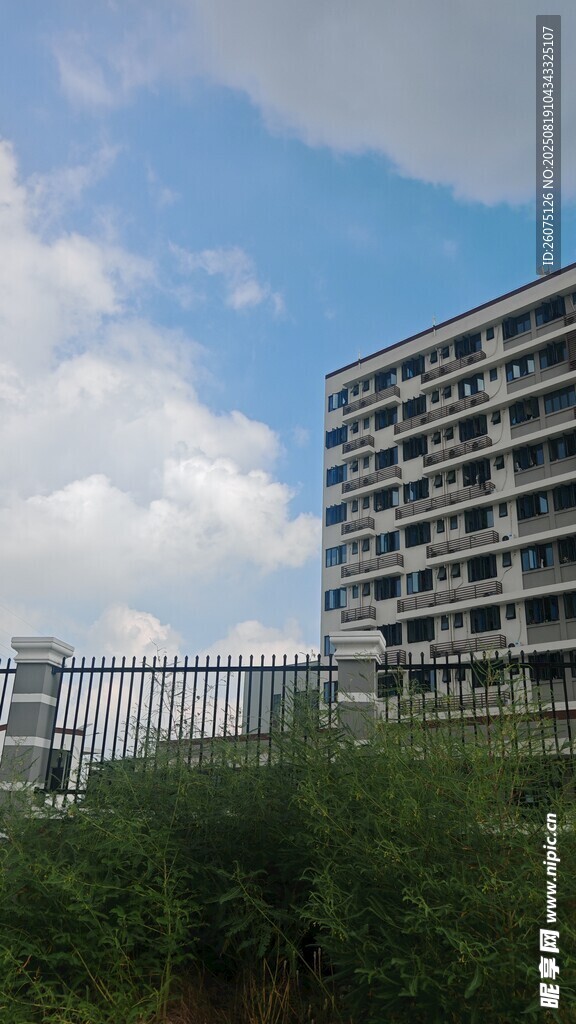 高楼矗立在绿意之上