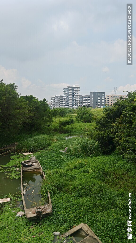 野外湖中繁茂绿植与破旧船只