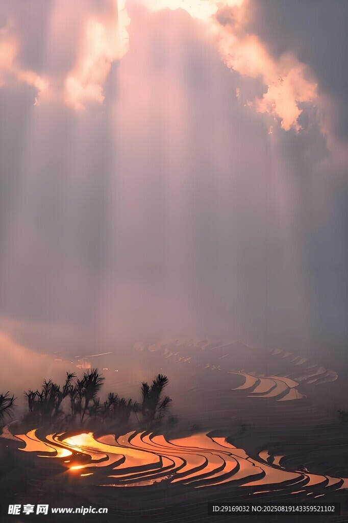 日出梯田 霞光洒落美景