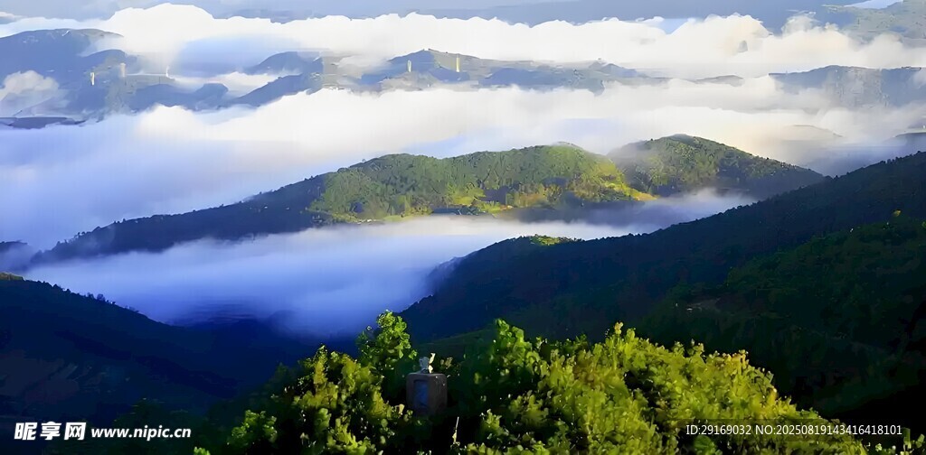 山间云海与葱郁林木景观