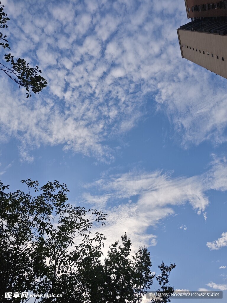 蓝天绿树间的建筑一角