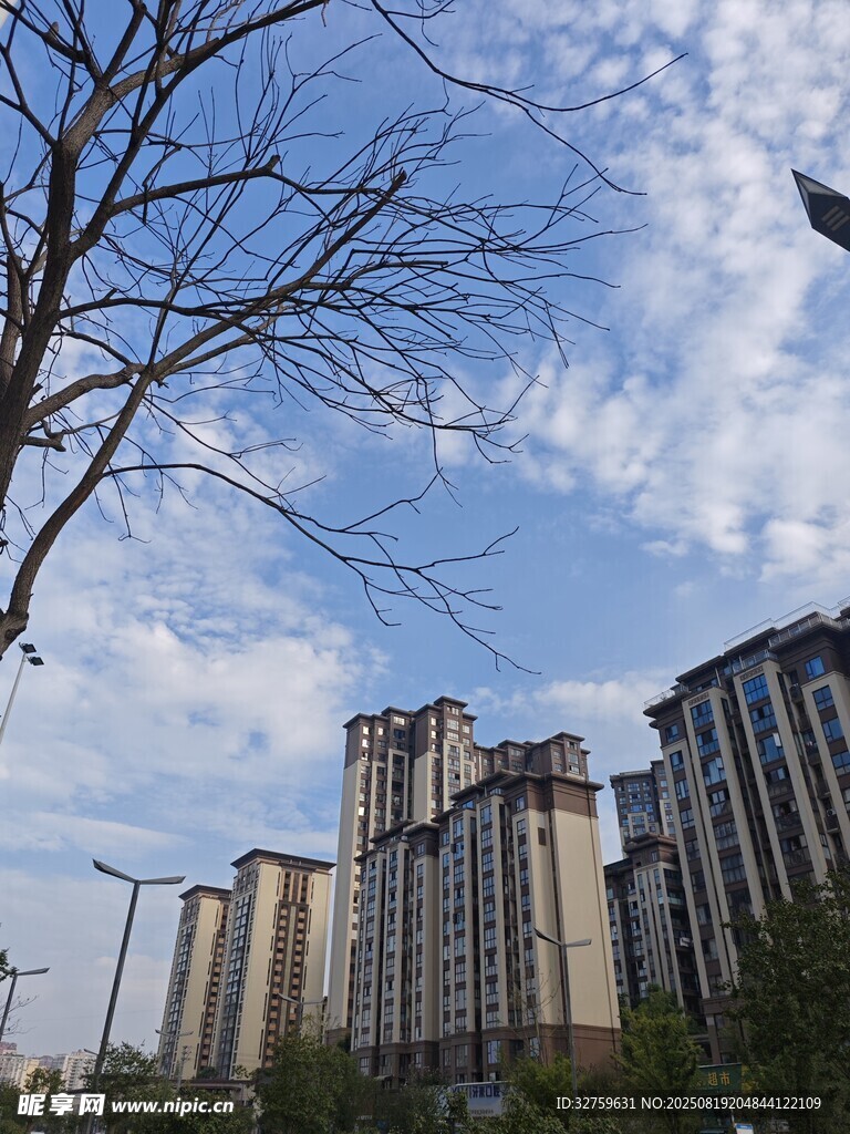 城市住宅区景观