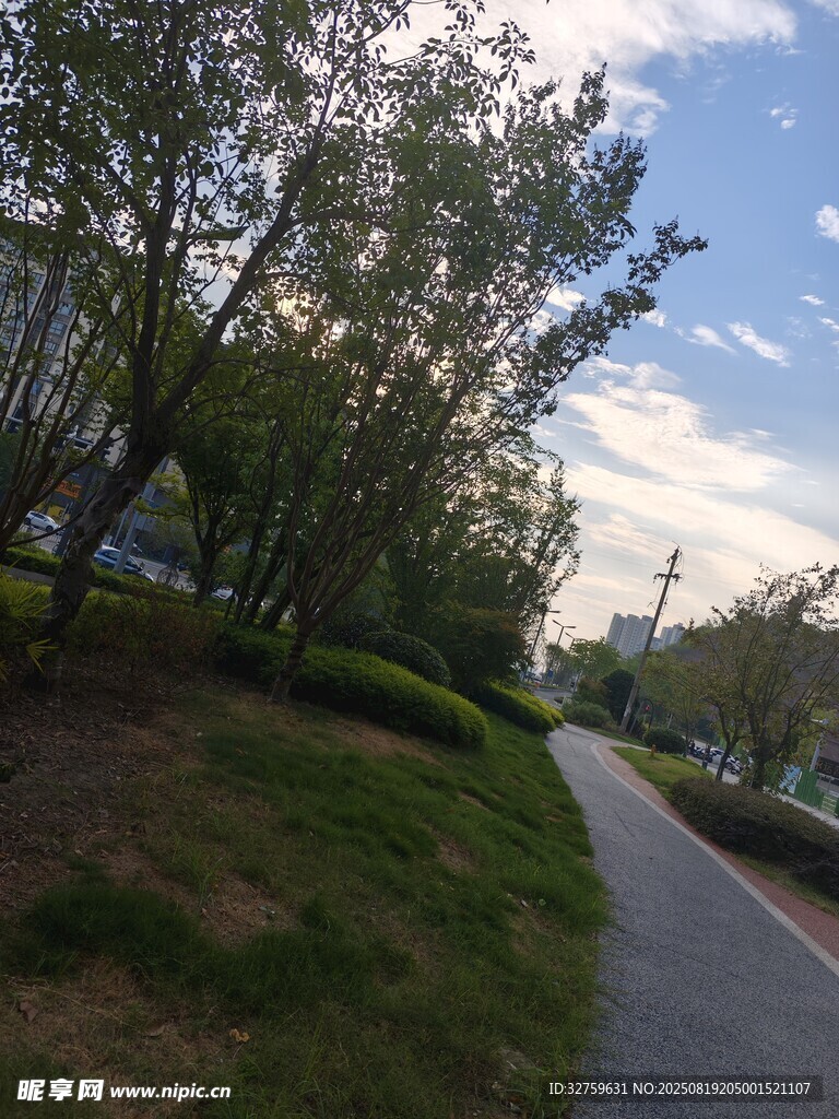 城市中宁静的林荫小路