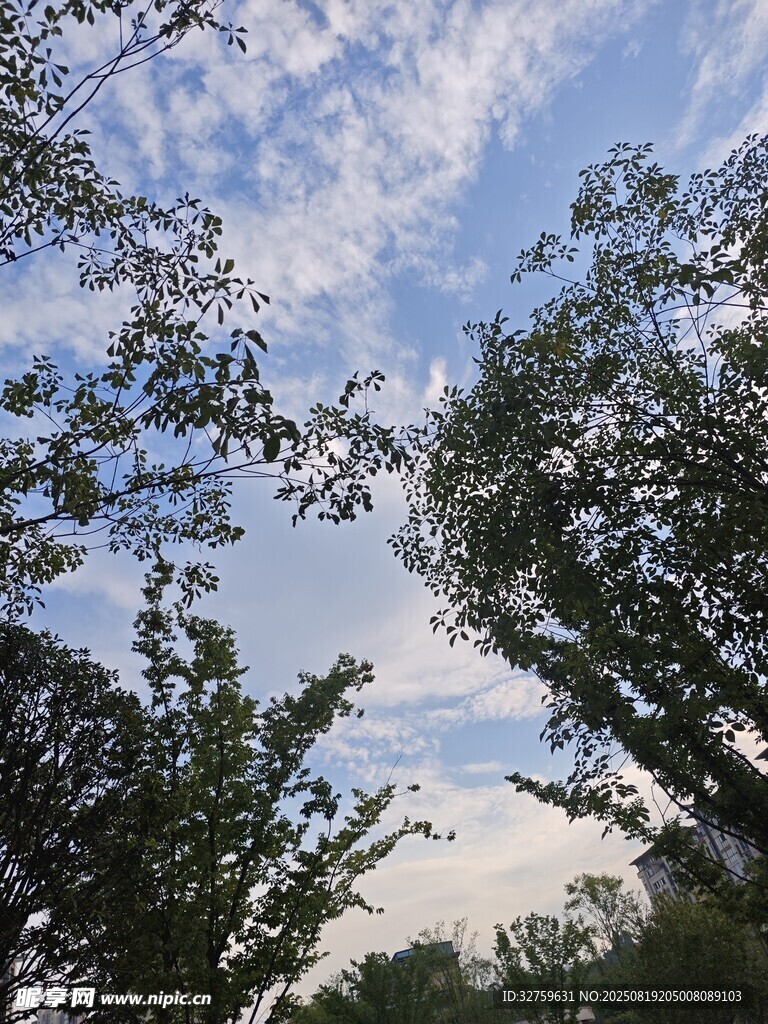蓝天绿树间的清新景致