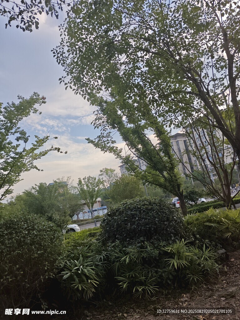 林间景致