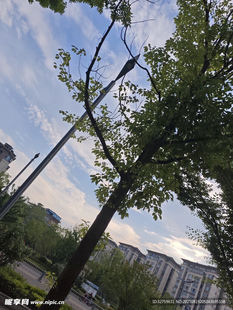 街边绿树与蓝天白云景象