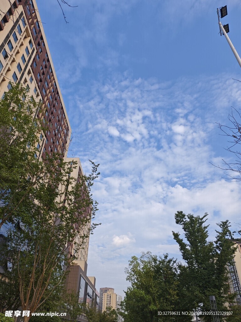 城市蓝天绿树景象