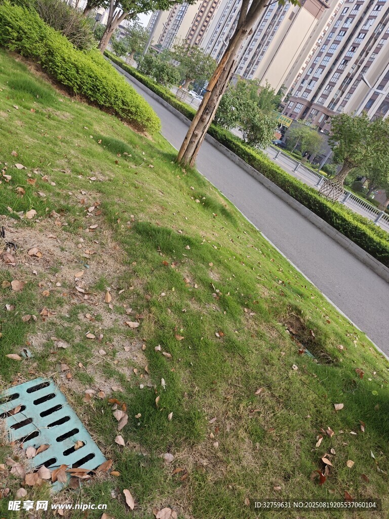 户外草地旁的道路场景