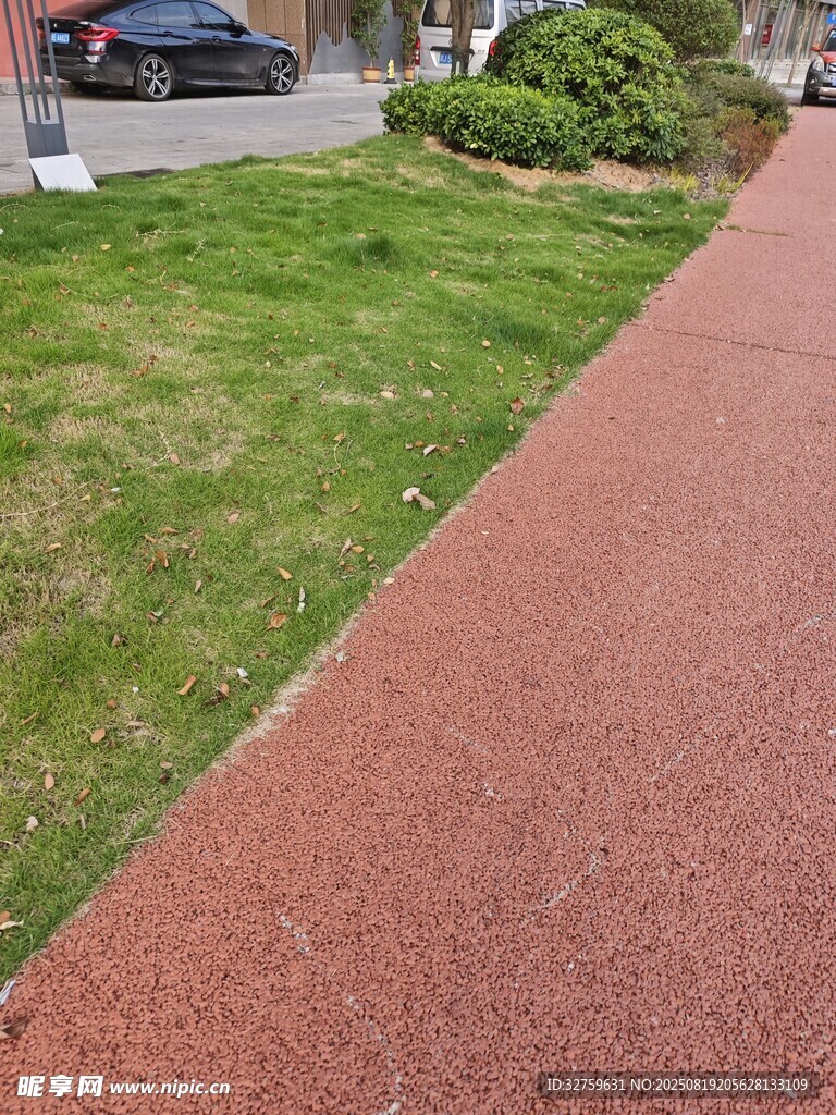 红色步道旁的绿地景观