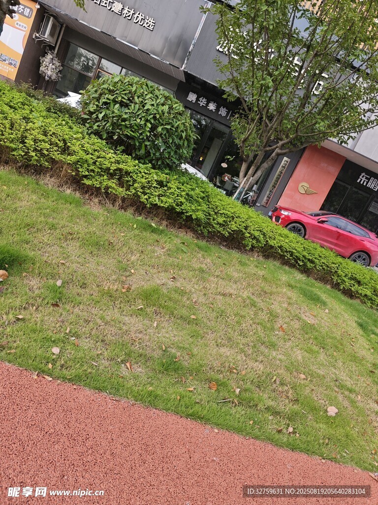 住宅区绿意盎然的景观