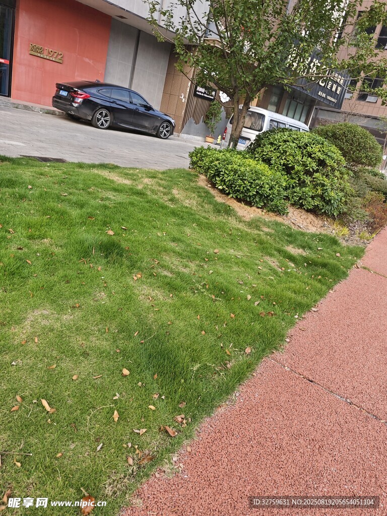 住宅旁的整洁草坪与道路
