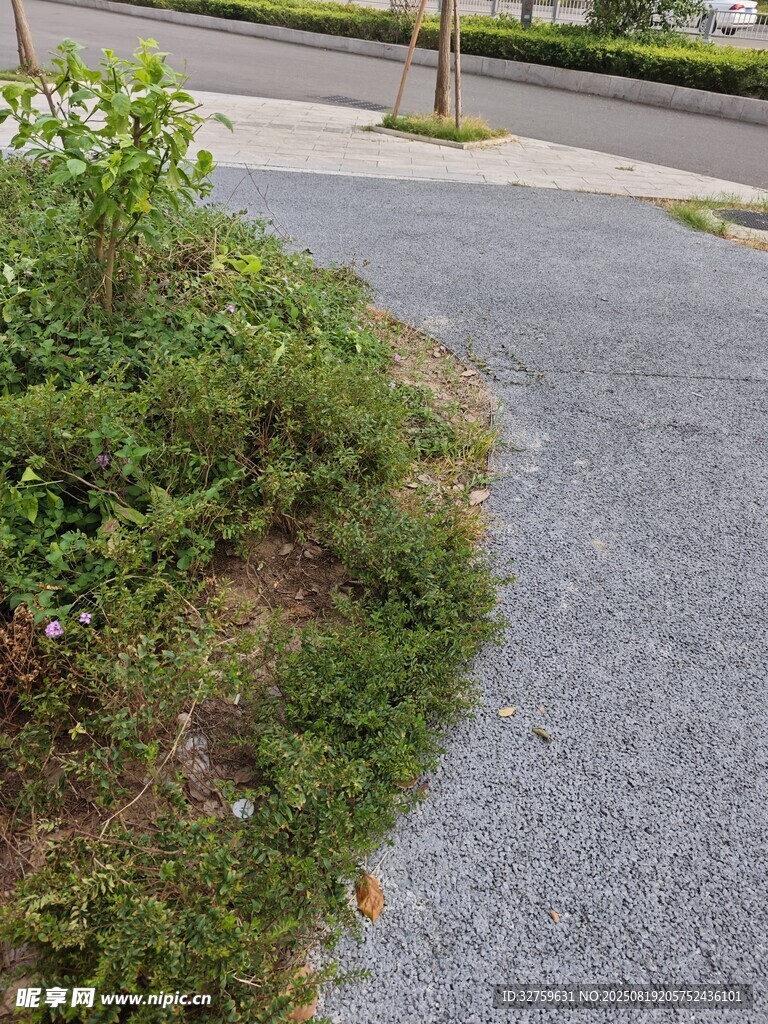 路边绿植与灰色路面景观