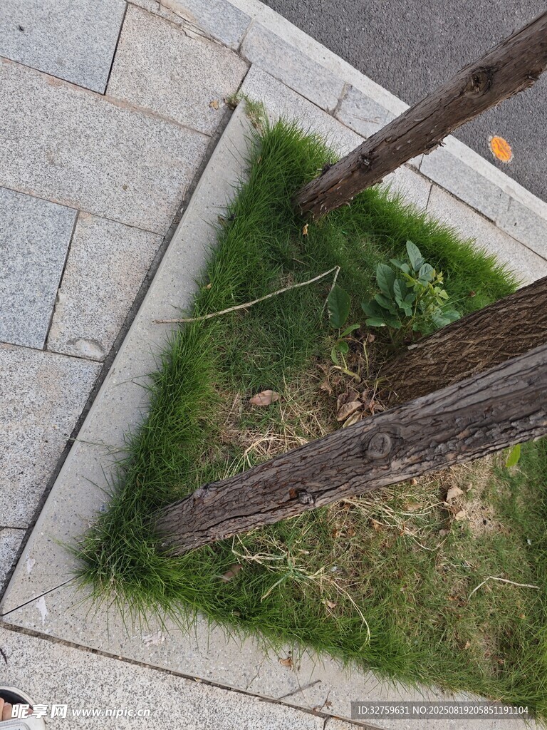 路边角落的绿植与栏杆
