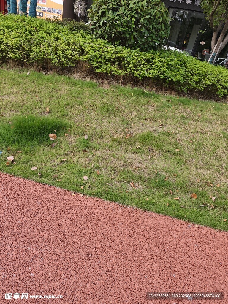 户外红径旁的绿植景观