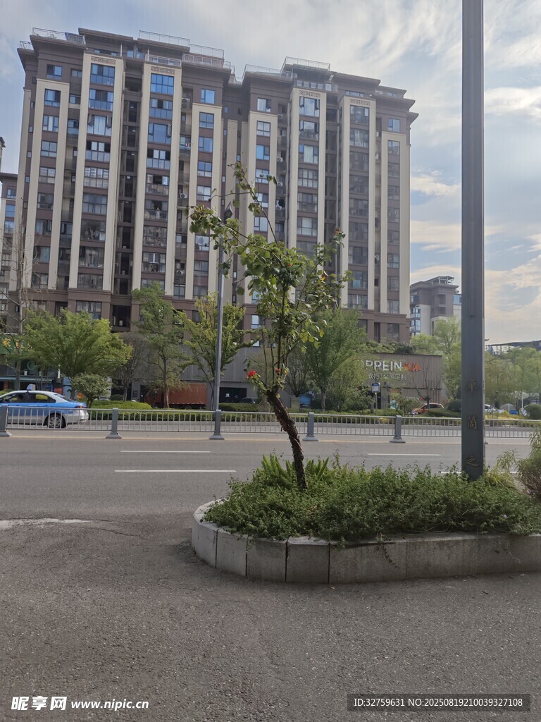城市道路旁的住宅楼景观