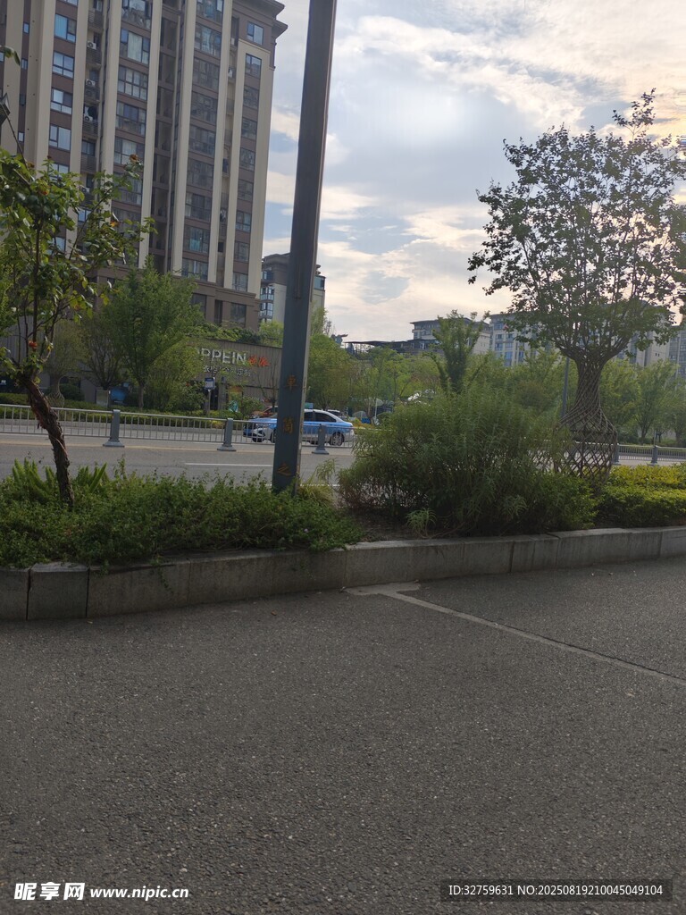 城市道路旁的绿植景观