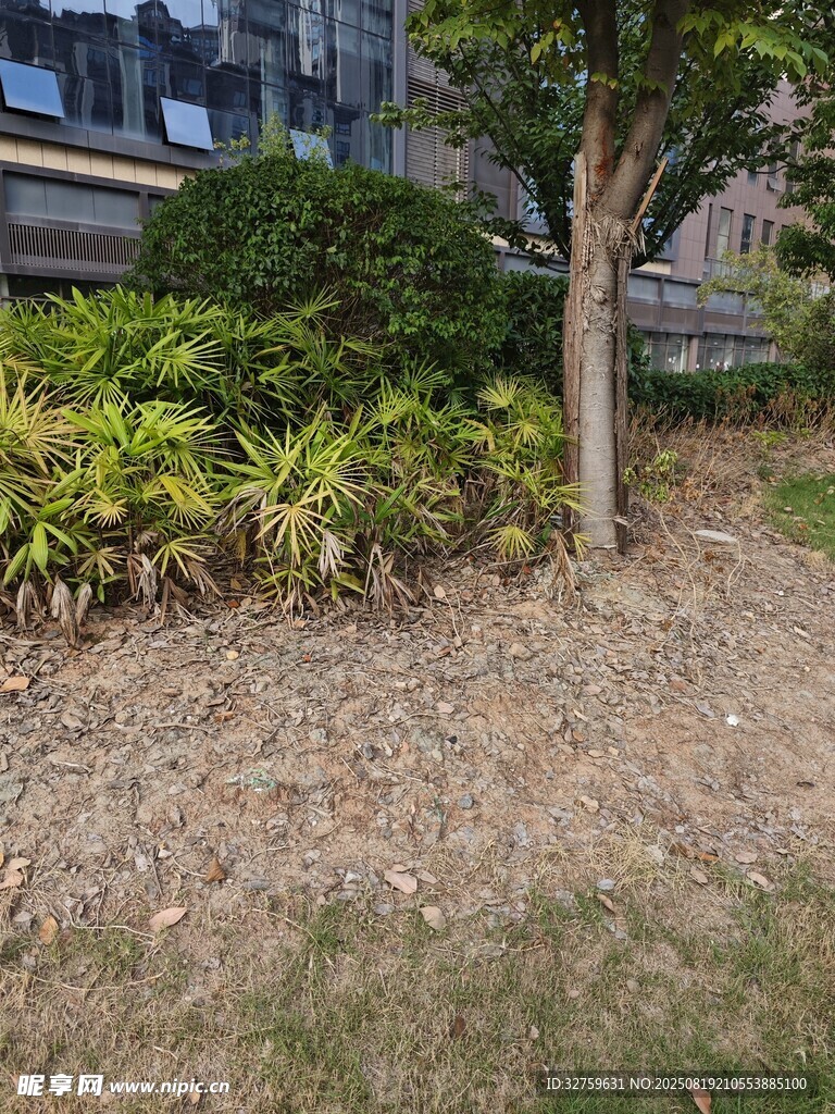 户外绿植景观一角