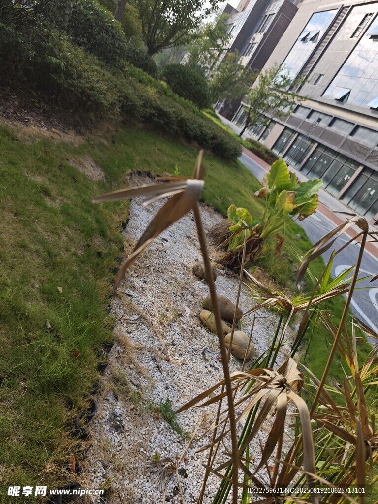 户外绿植与碎石景观