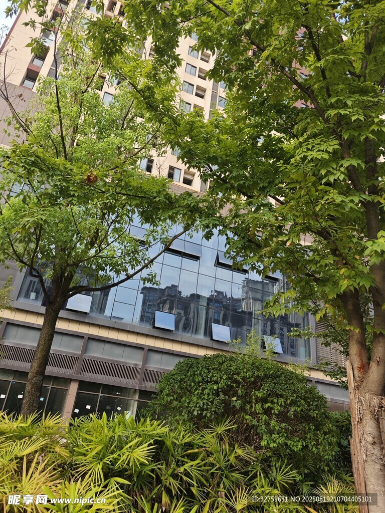 城市中葱郁的绿植与建筑
