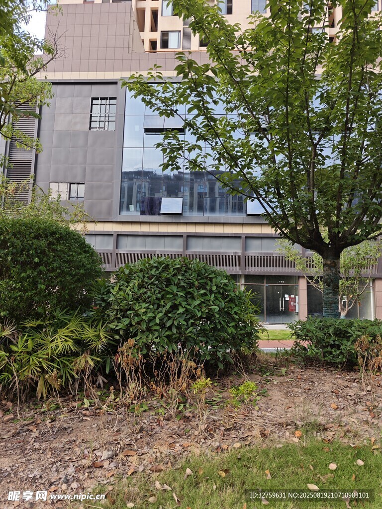 城市绿植环绕的建筑景观