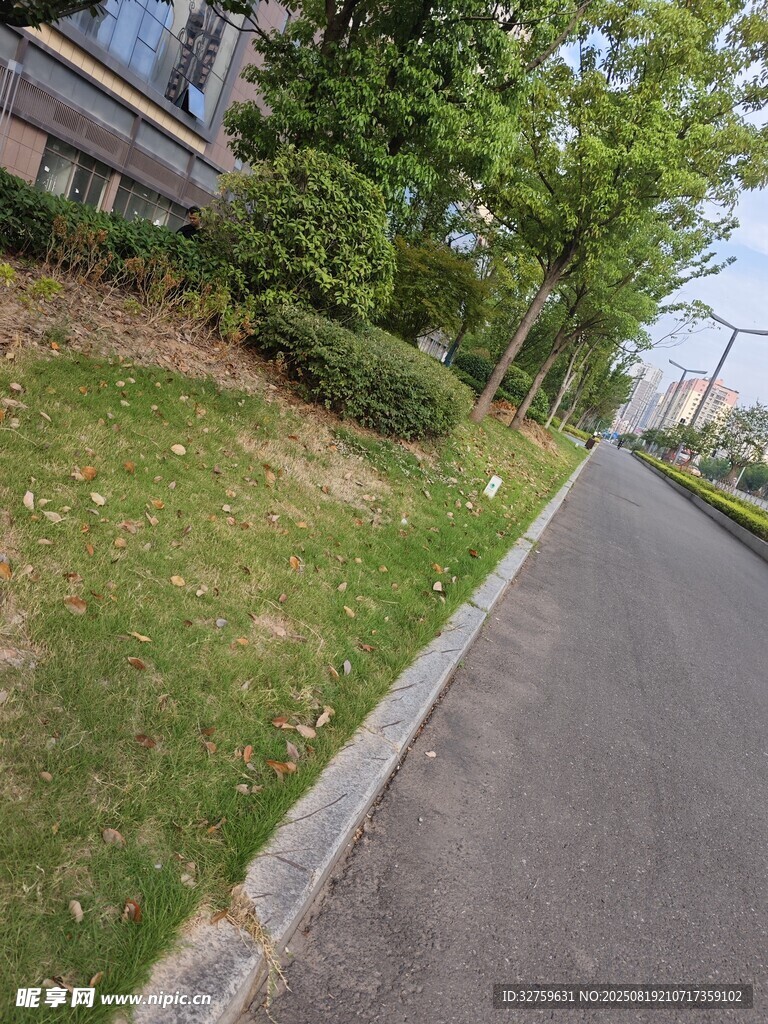 路边绿意盎然的草坪景观