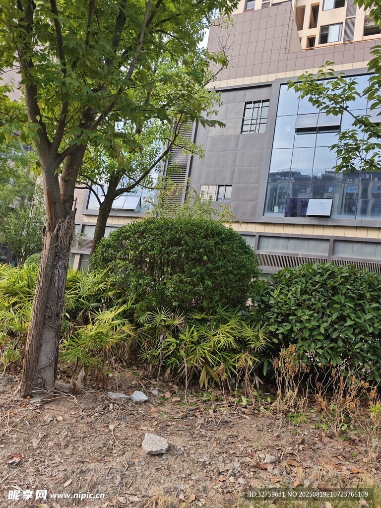 小区绿植环绕的建筑景观