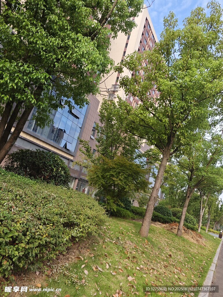 绿树环绕的现代建筑景观