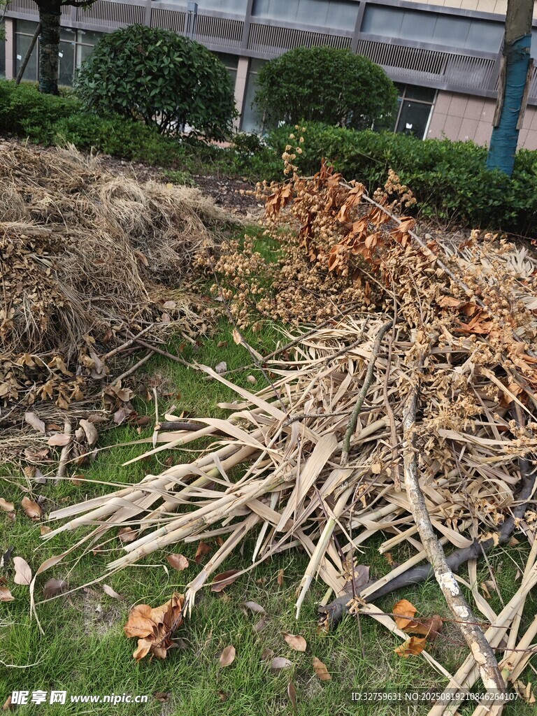 户外草地堆放的干枯秸秆