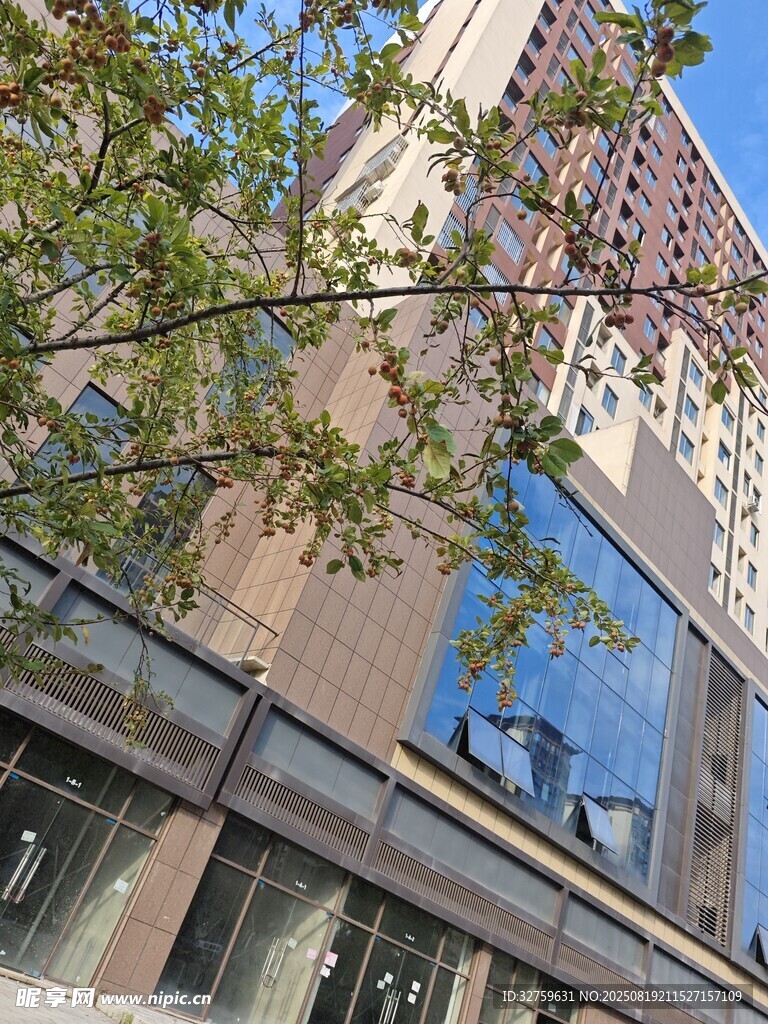 现代风格建筑外观一角