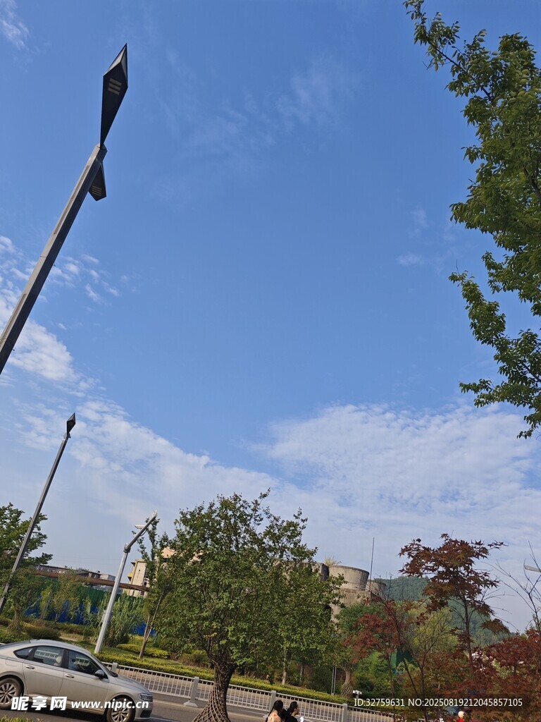 晴朗户外街道与绿植景观