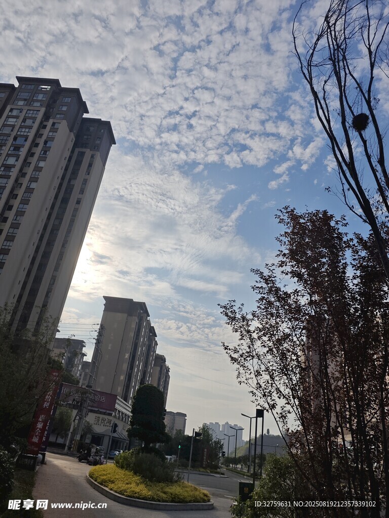 城市街道旁的建筑与天空