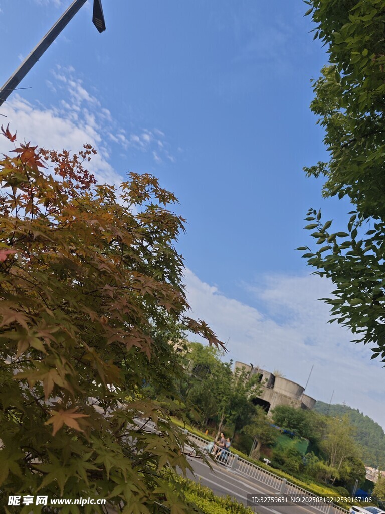 秋日林间公路风景