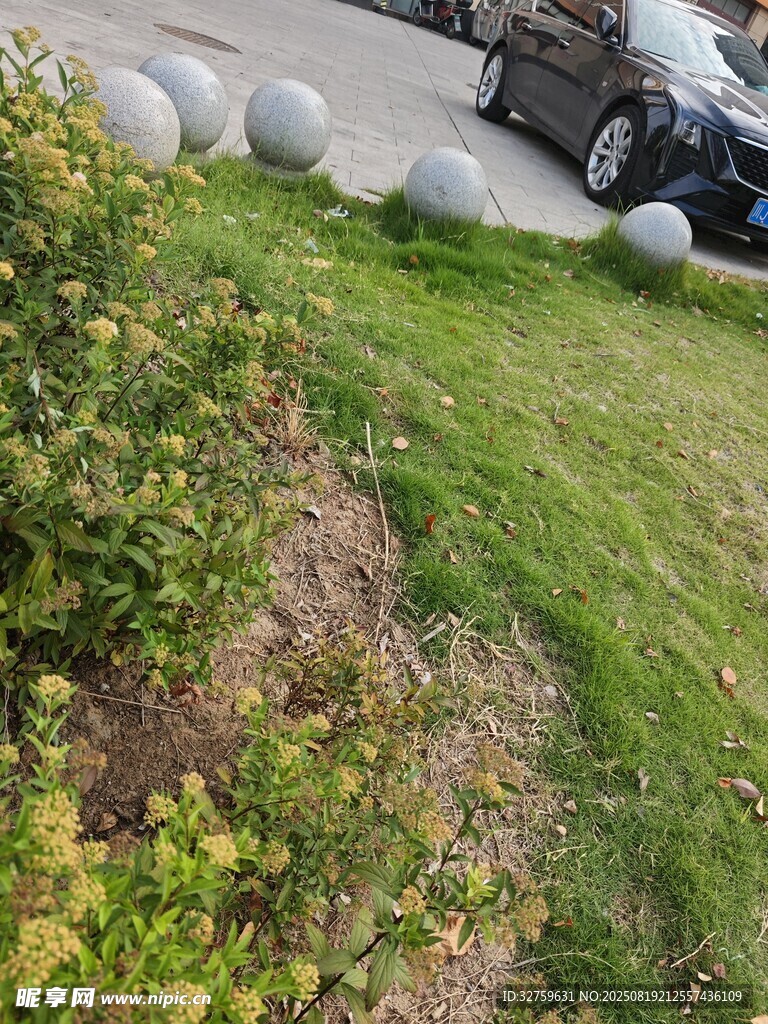 草坪旁的石球与绿植