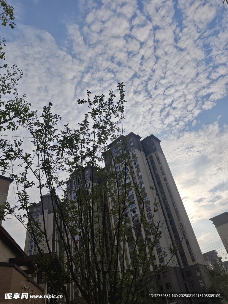 高楼旁的蓝天白云绿树