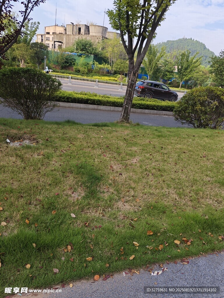 路边草地与远处建筑景观