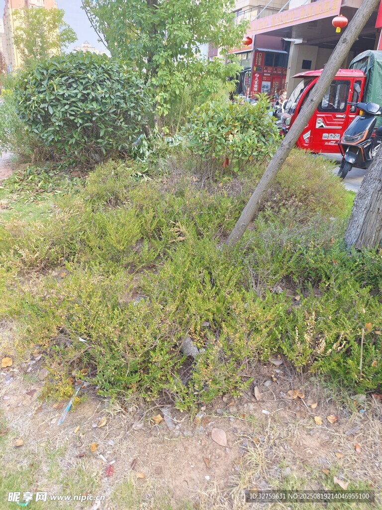 户外绿植与游乐设施场景