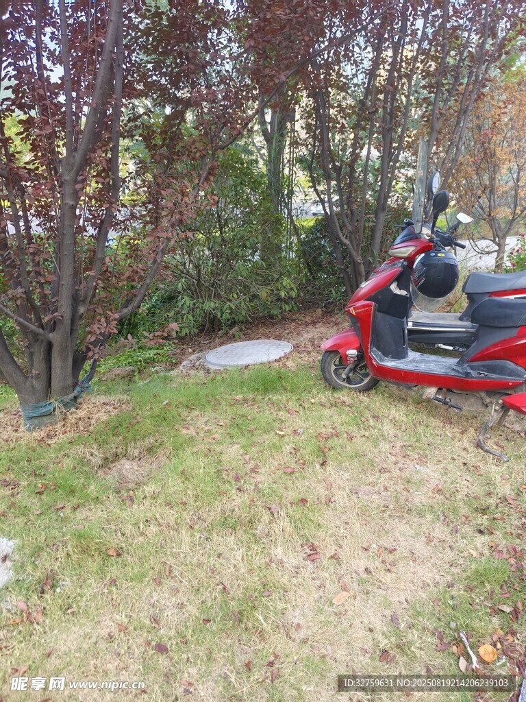 户外停放的红色摩托车