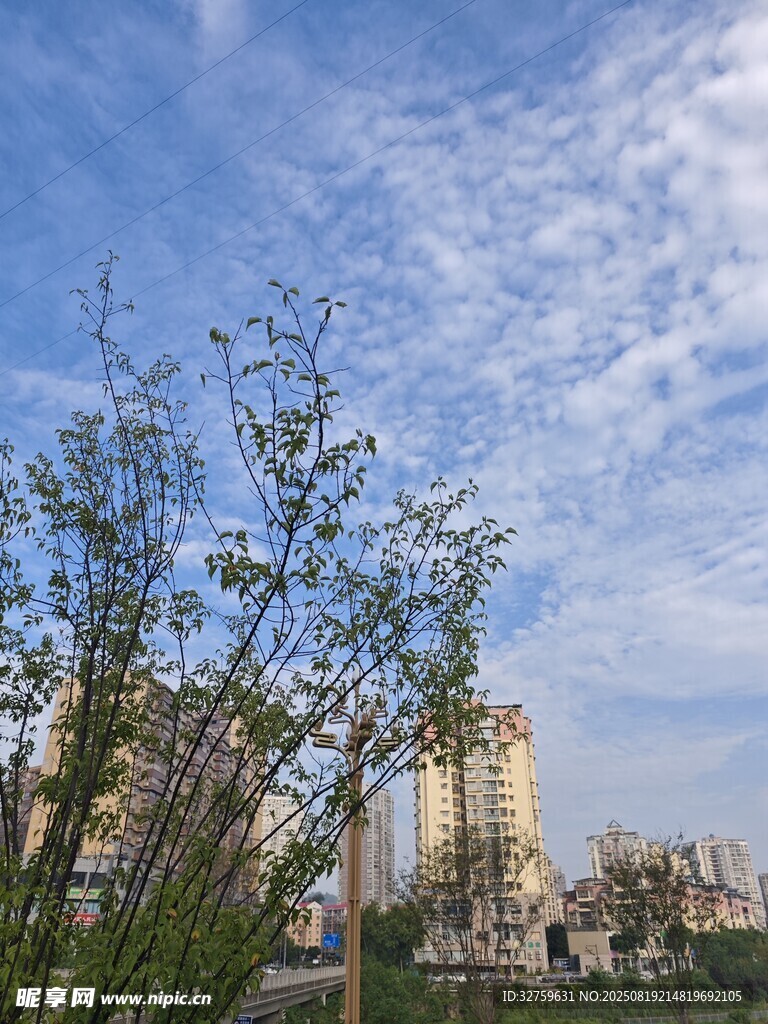 城市蓝天绿树风景