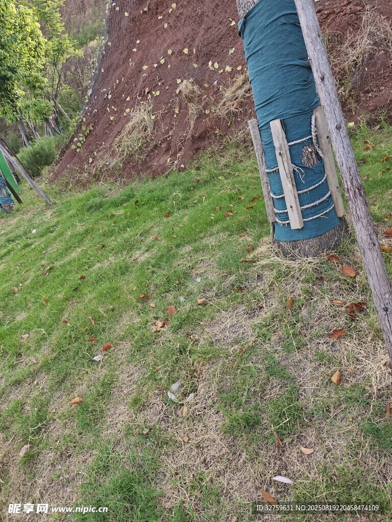 户外草地旁的蓝色桶设施