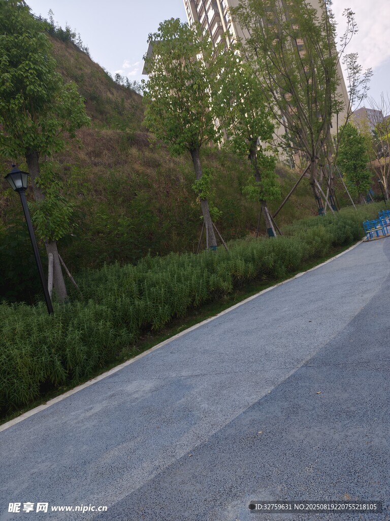 宁静的户外步道景观