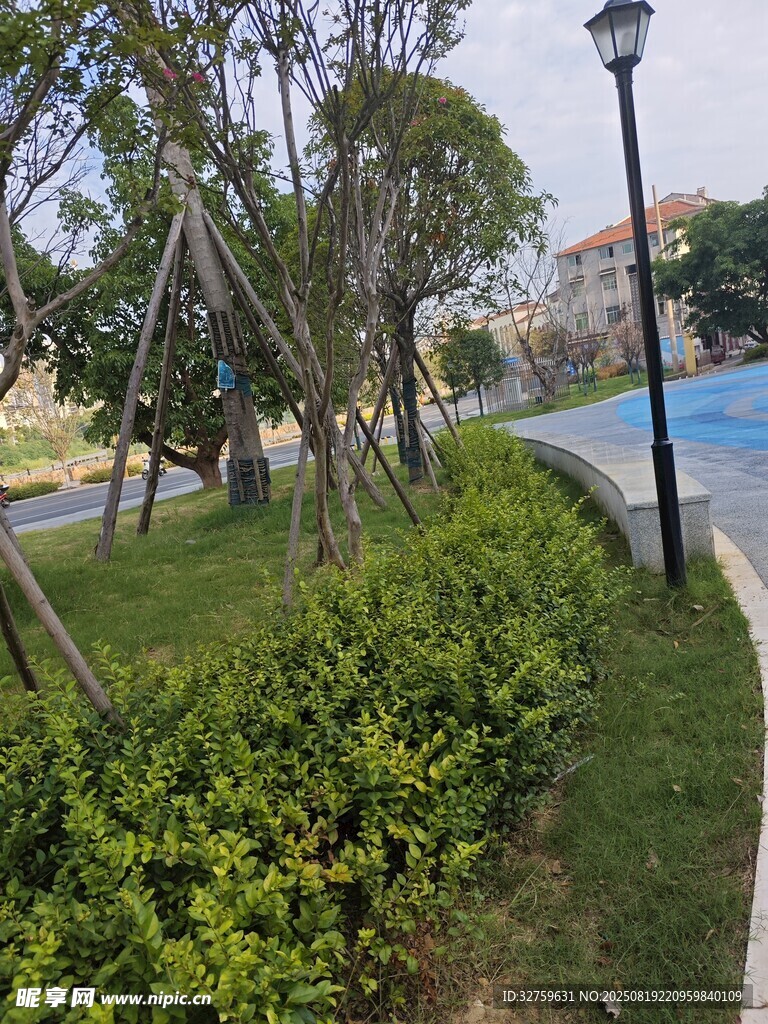 小区绿意盎然的园林景观