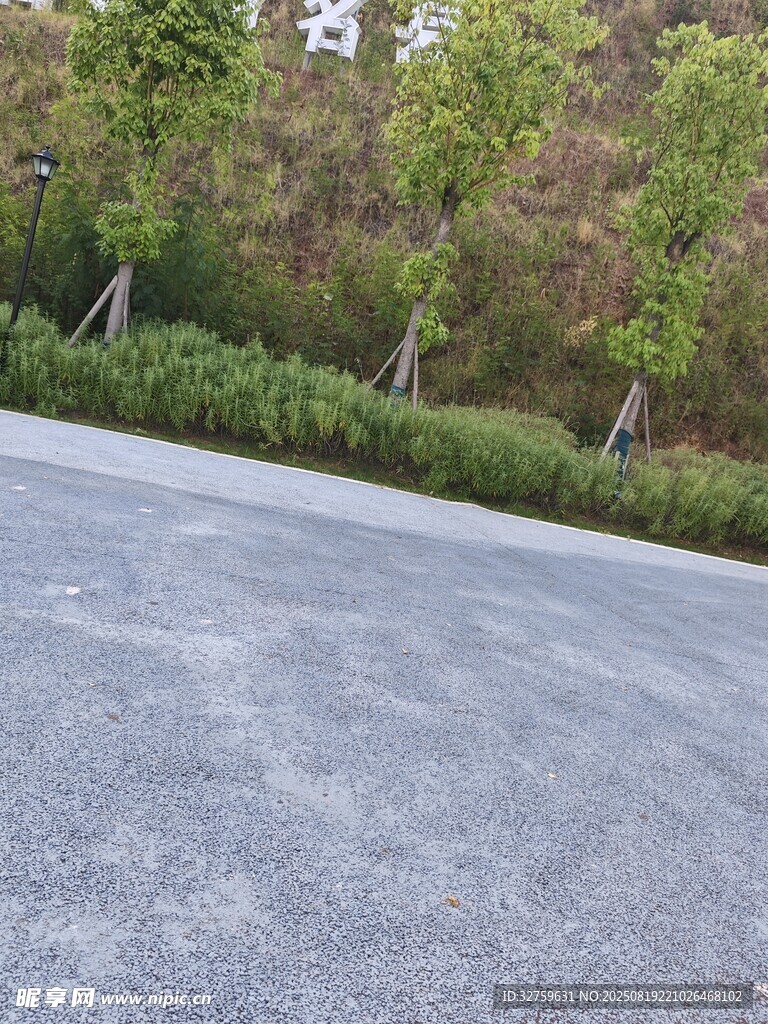 空旷柏油路面与绿植景观