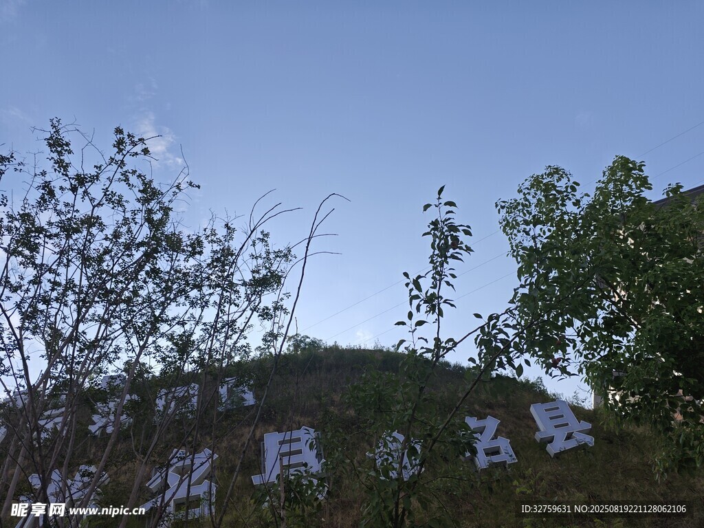 山坡上的绿植与标语