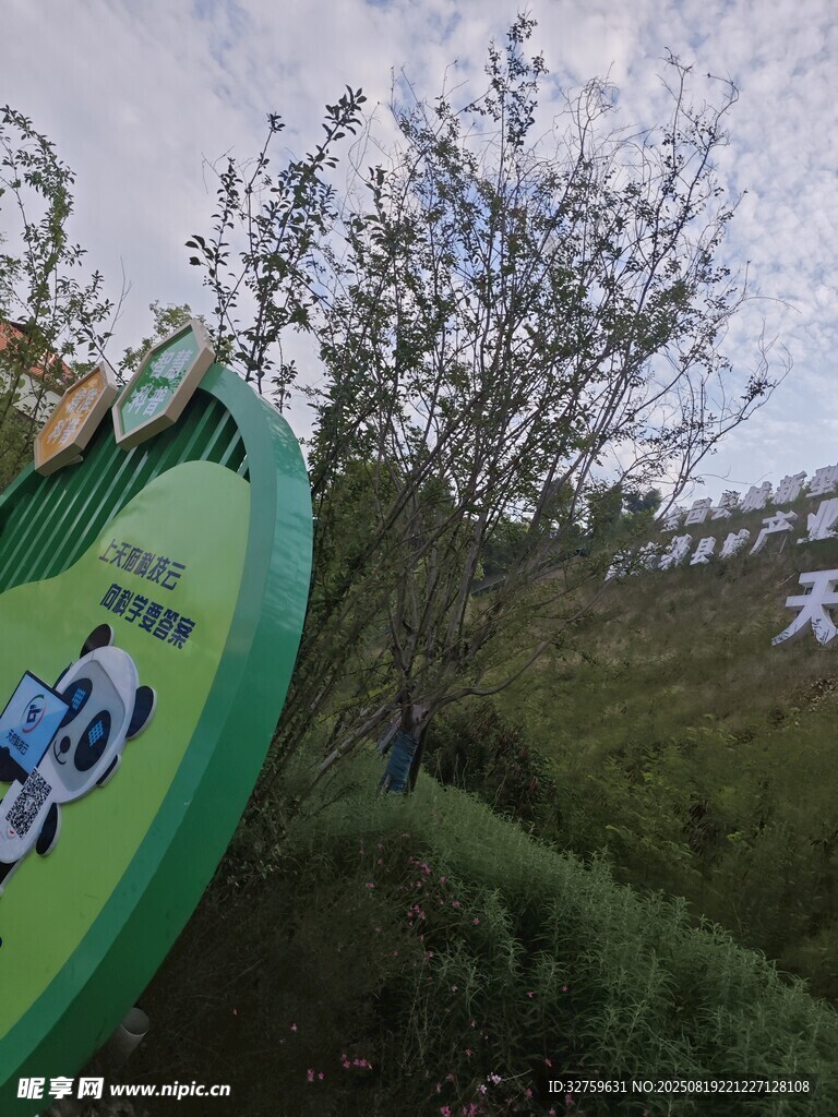 户外绿色场景