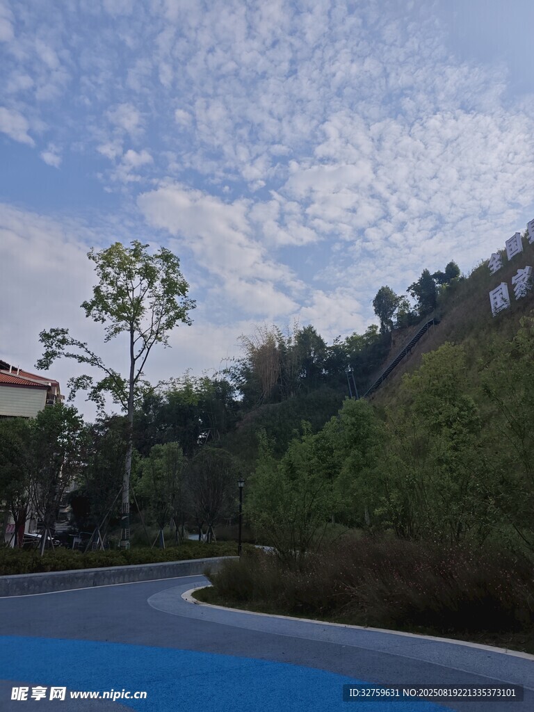 户外泳池边的自然景致