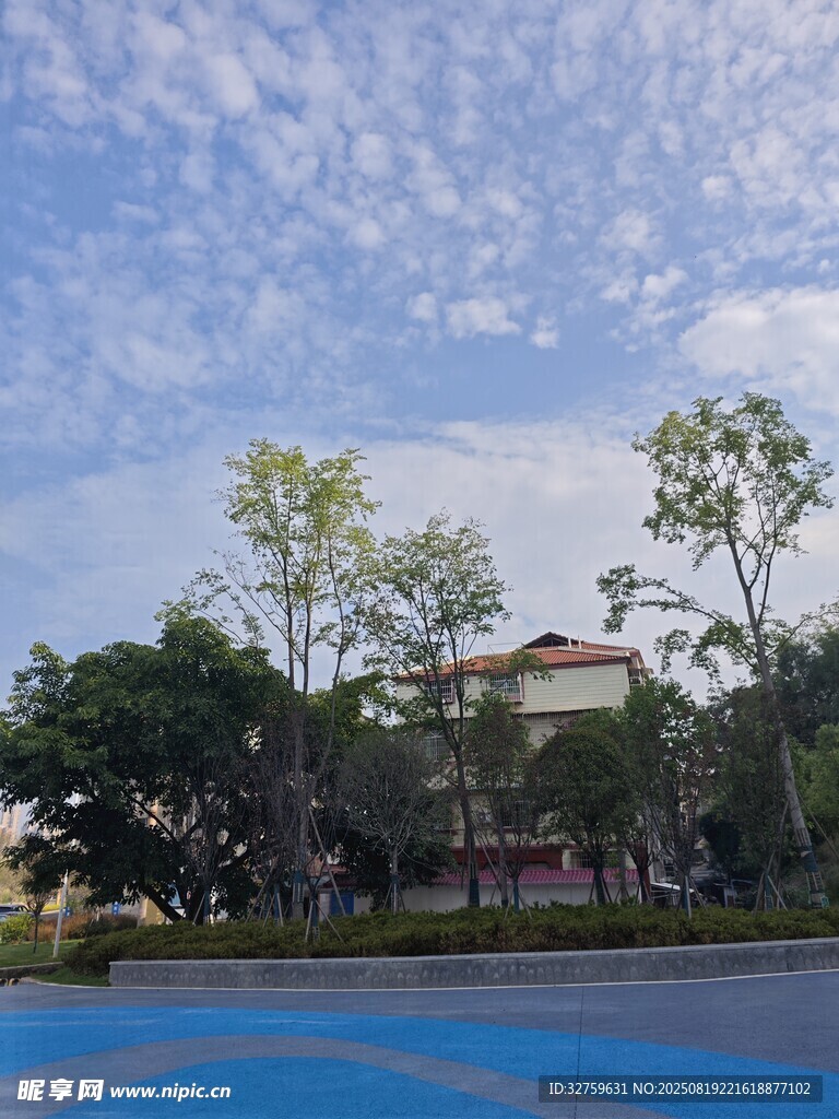 户外泳池旁的绿树与建筑