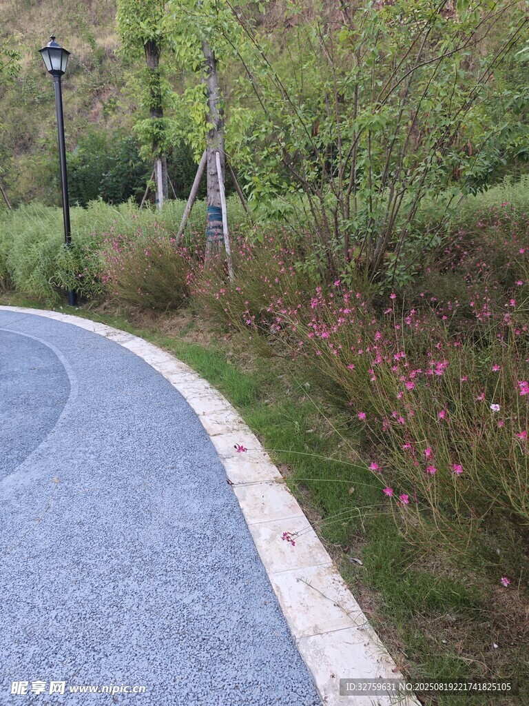 蜿蜒小路旁的自然景致